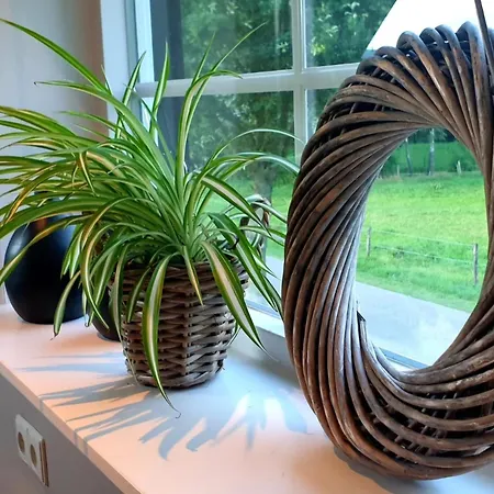 Met Jaccuzi Bed and Breakfast Keijenborg