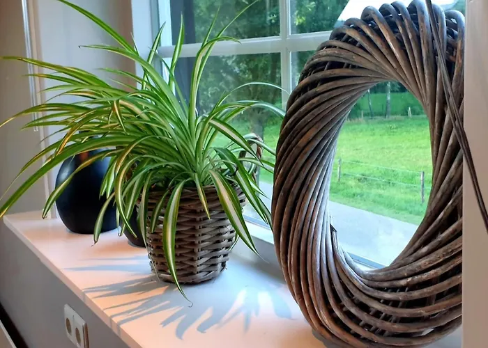 Met Jaccuzi Bed & Breakfast Keijenborg